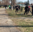 Приведен в порядок Центральный пар - Сараевский район